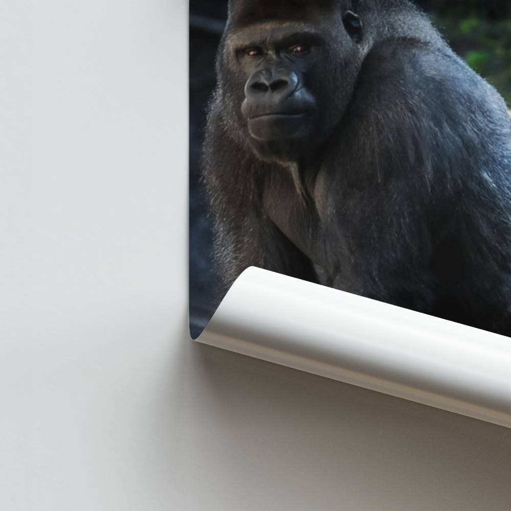 Poster Forza Primordiale