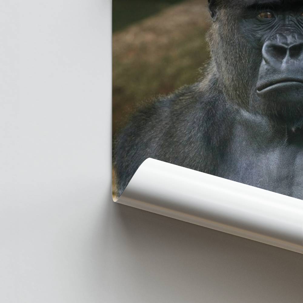 Poster Forza maestosa