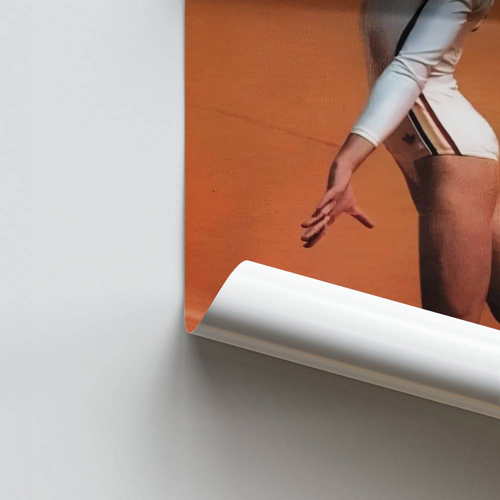 Poster di equilibrio elegante