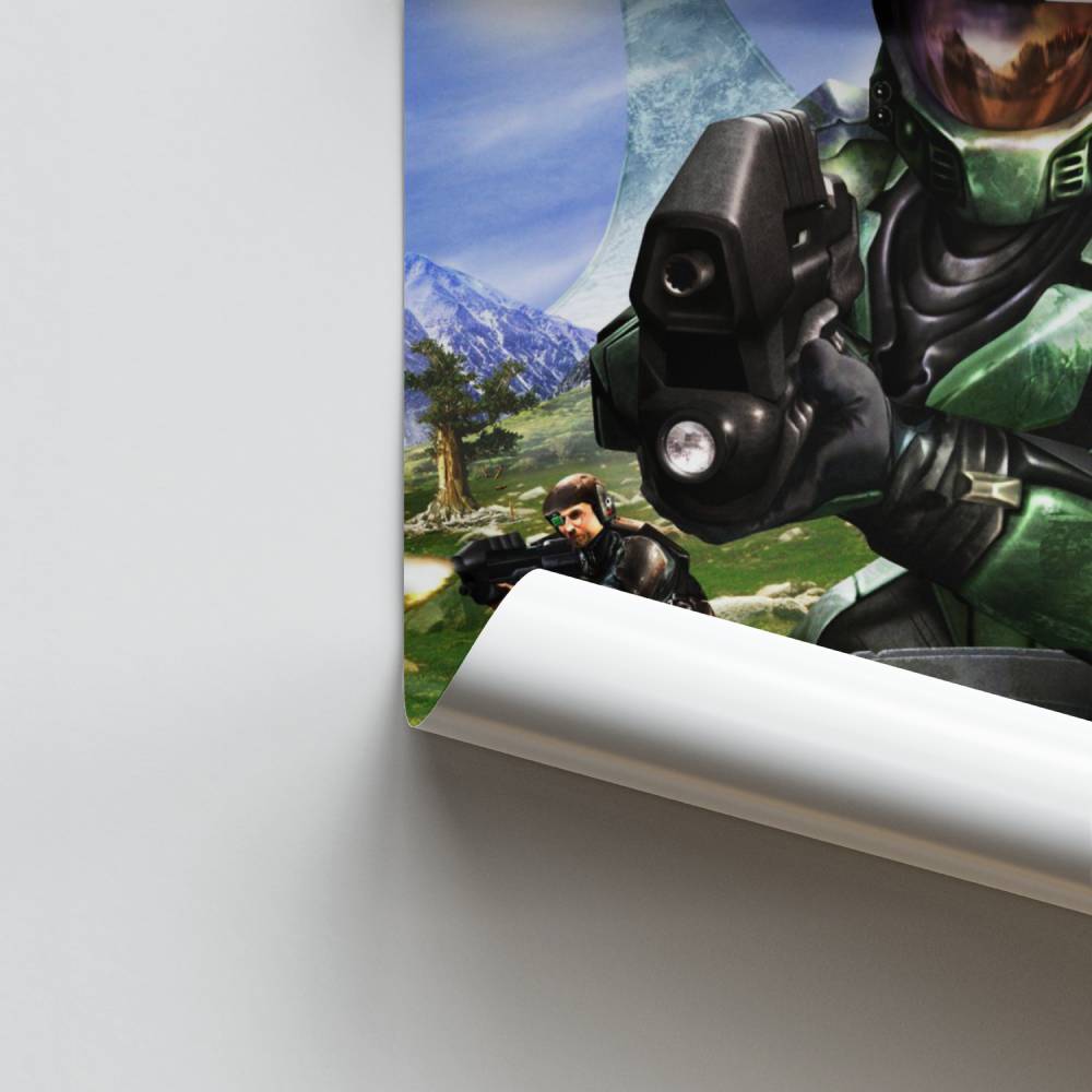 Ampio poster di combattimento