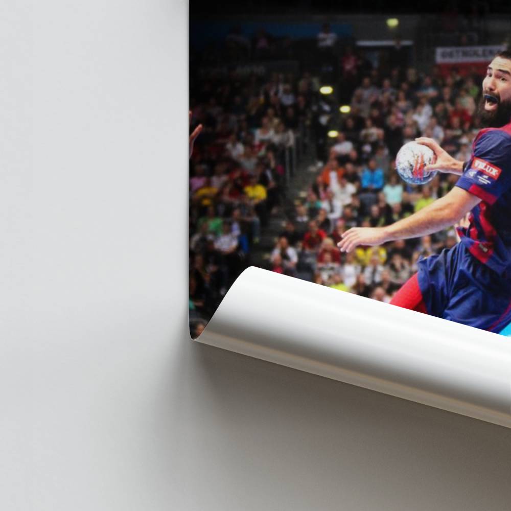 Poster Salto audace