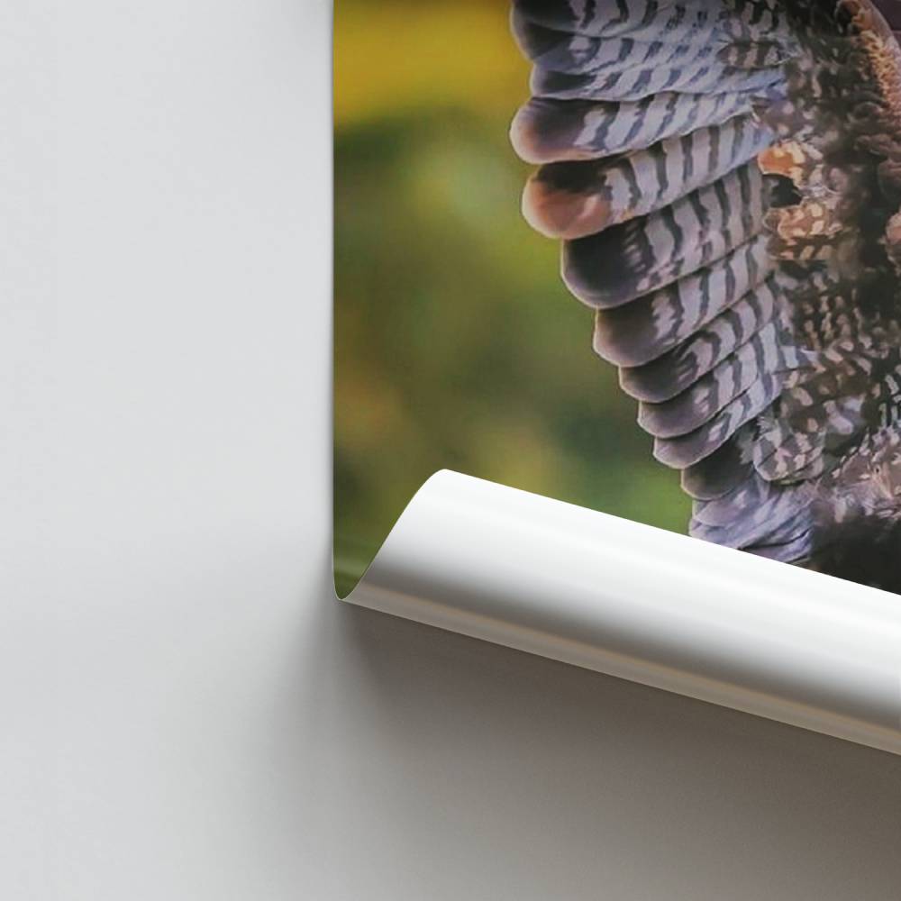 Poster Urban Skater Vibe