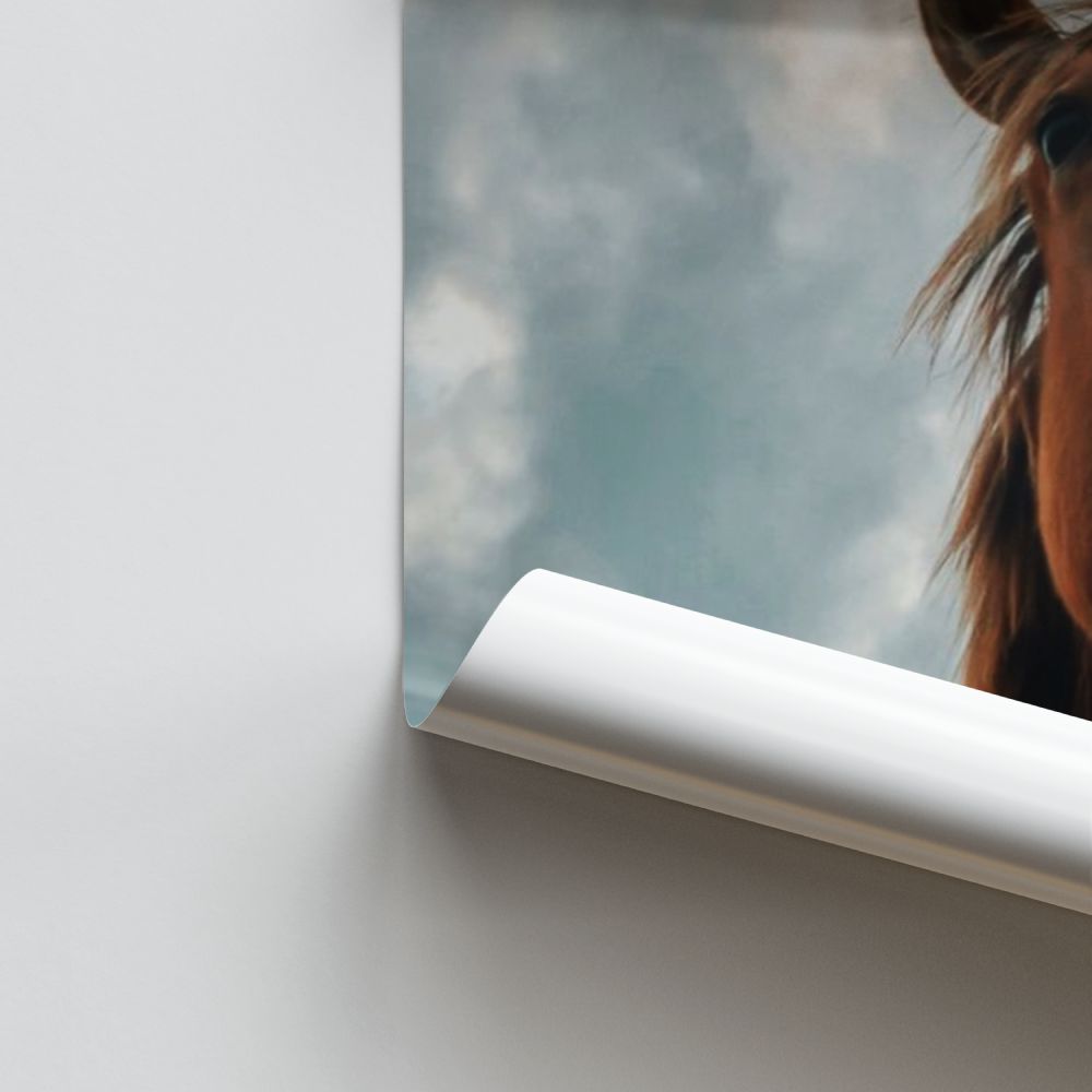 Poster Cheval Drôle