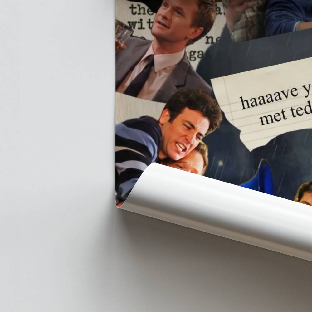 Poster Have You Met Ted