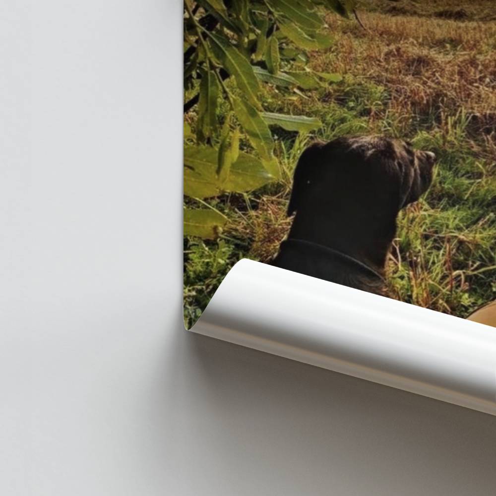 Poster Chasseur et Compagnon