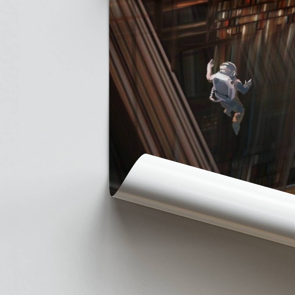 Poster sulla gravità cosmica