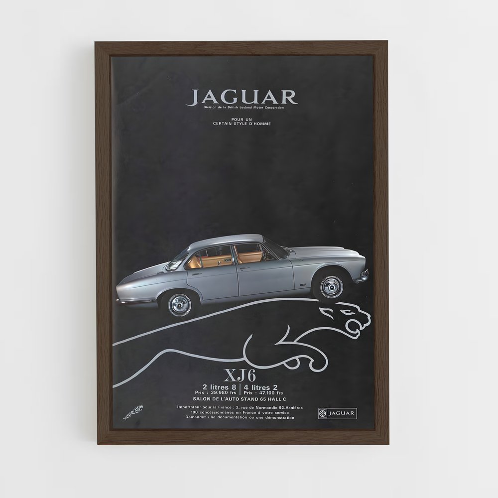jaguar-10 cadre Bois foncé