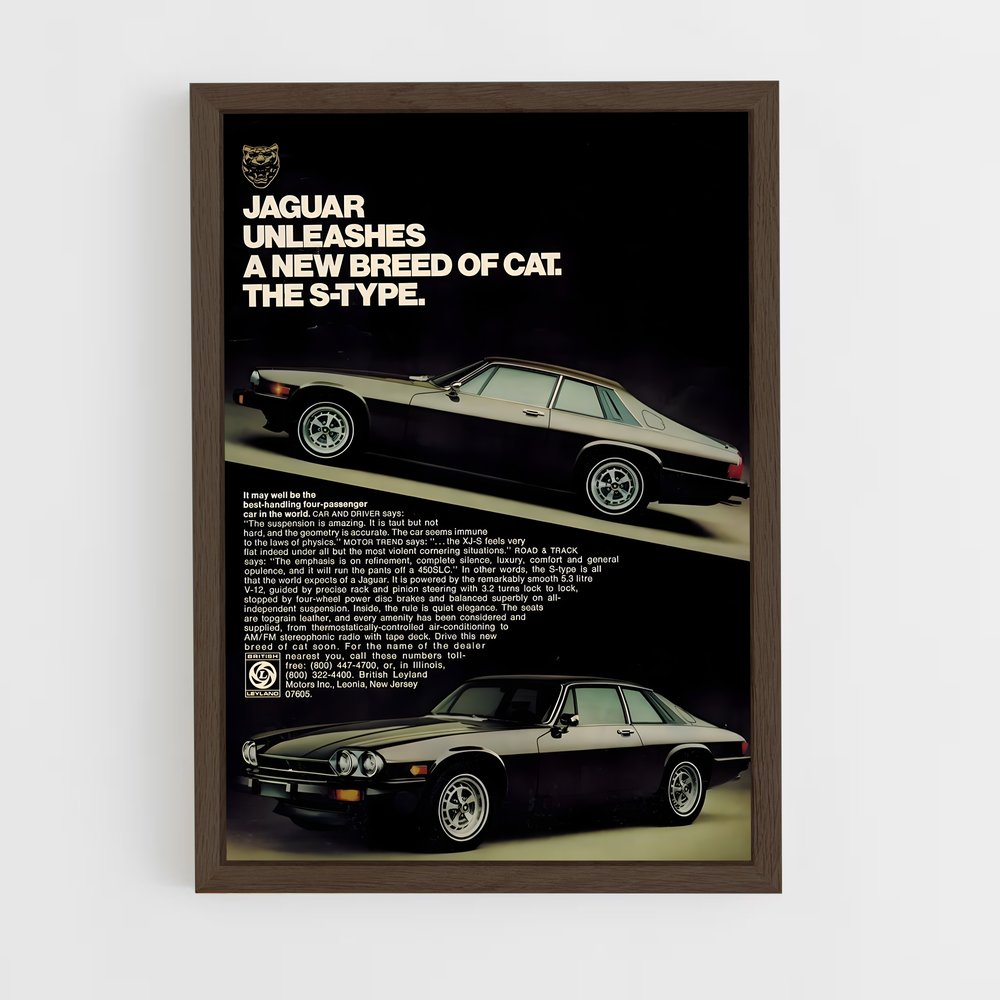 jaguar-9 cadre Bois foncé