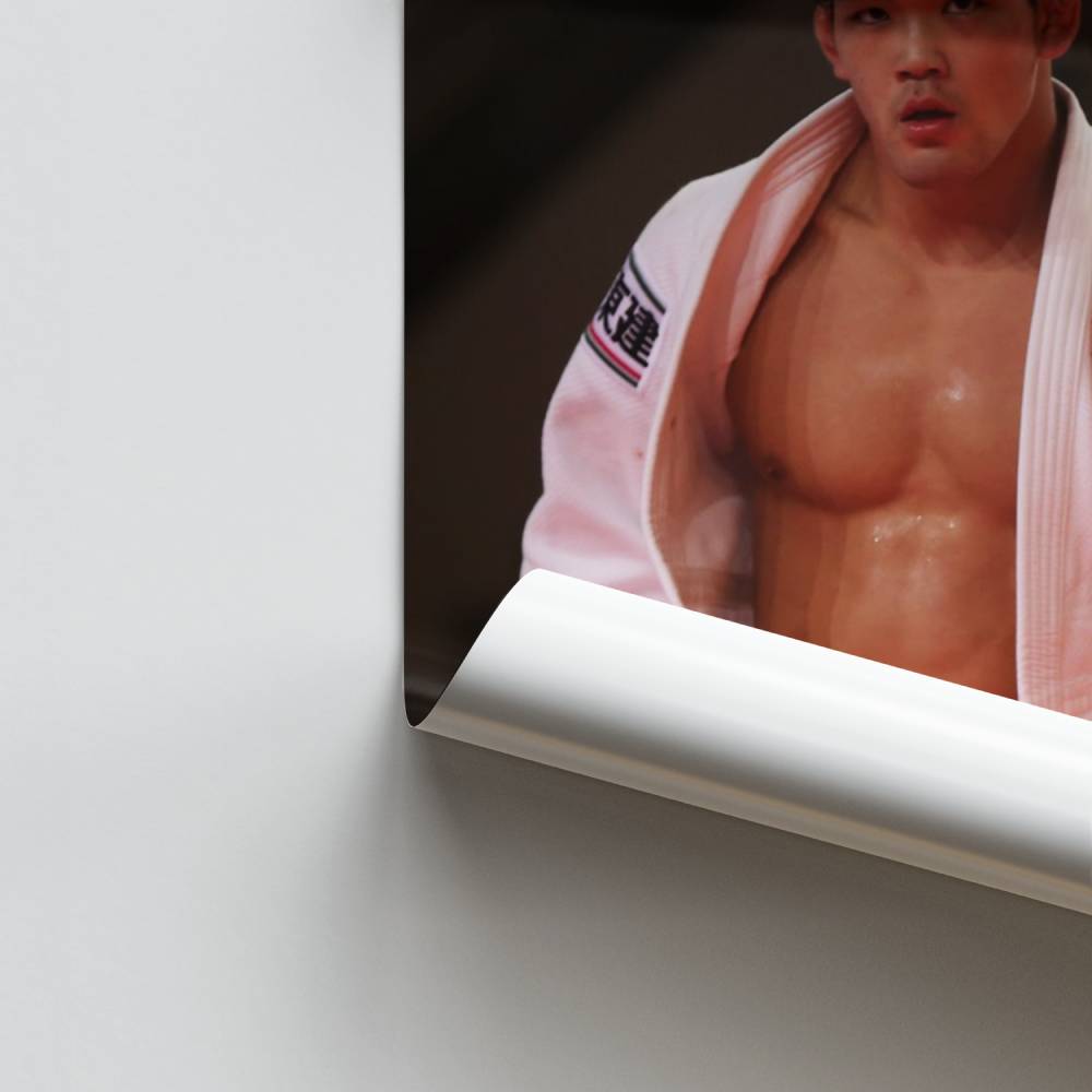 Poster del campione di judo