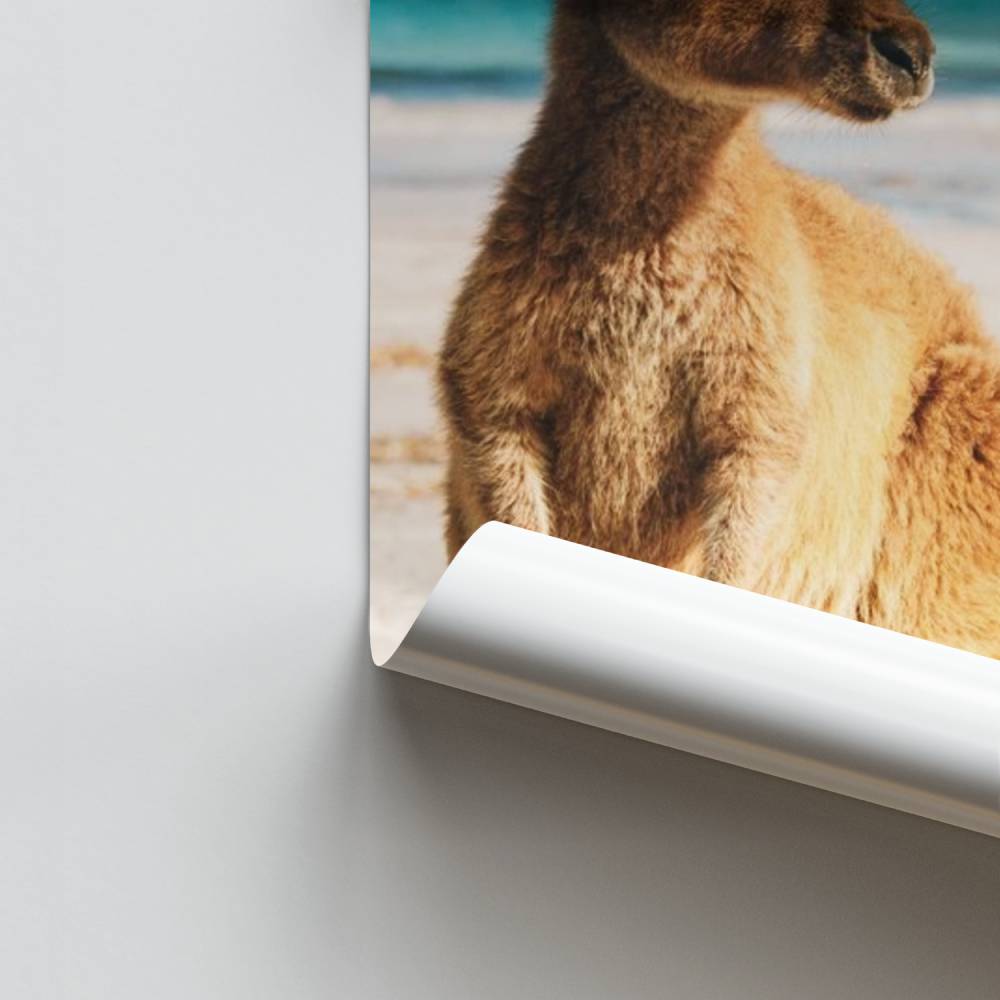 Poster della spiaggia dei canguri