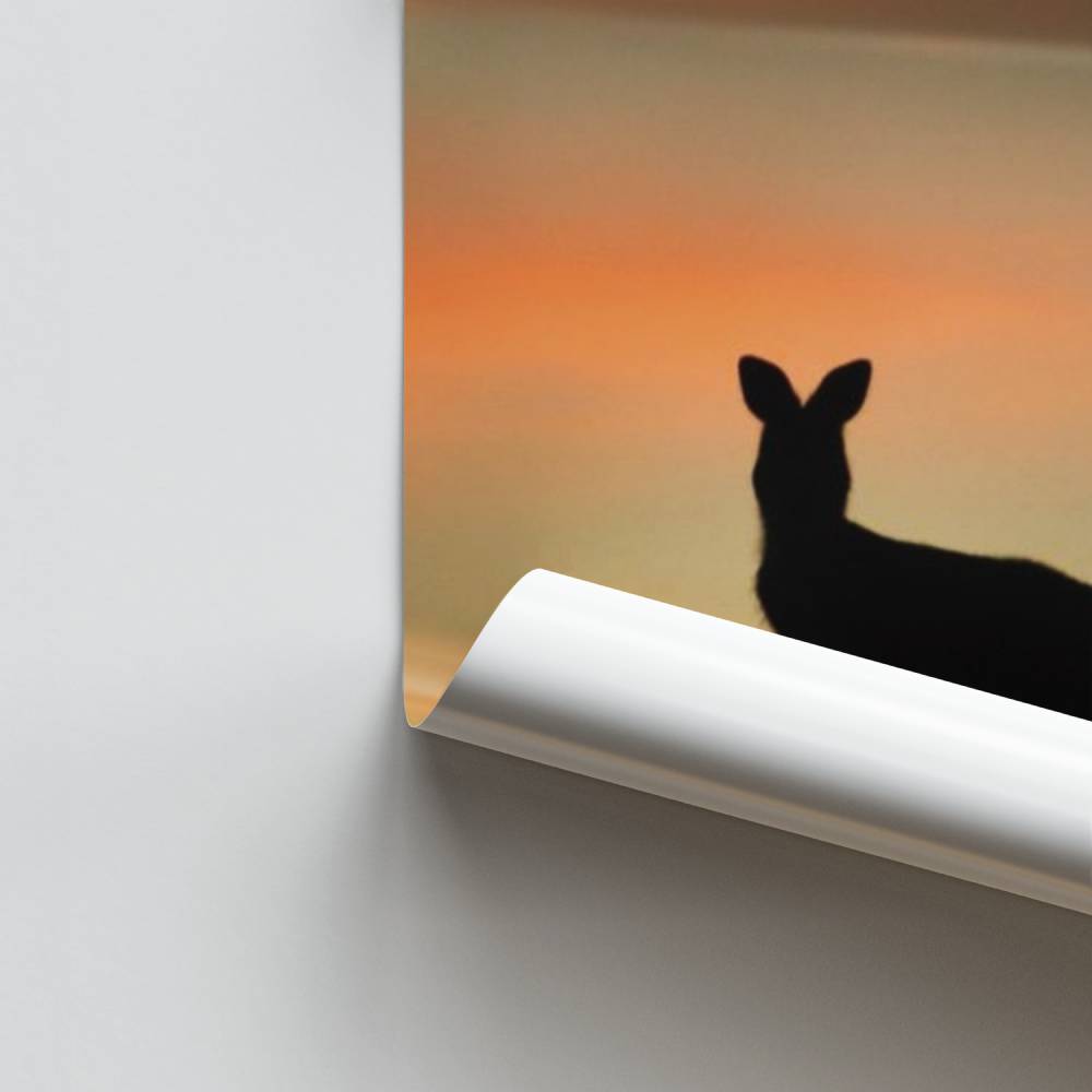 Poster di canguro al tramonto
