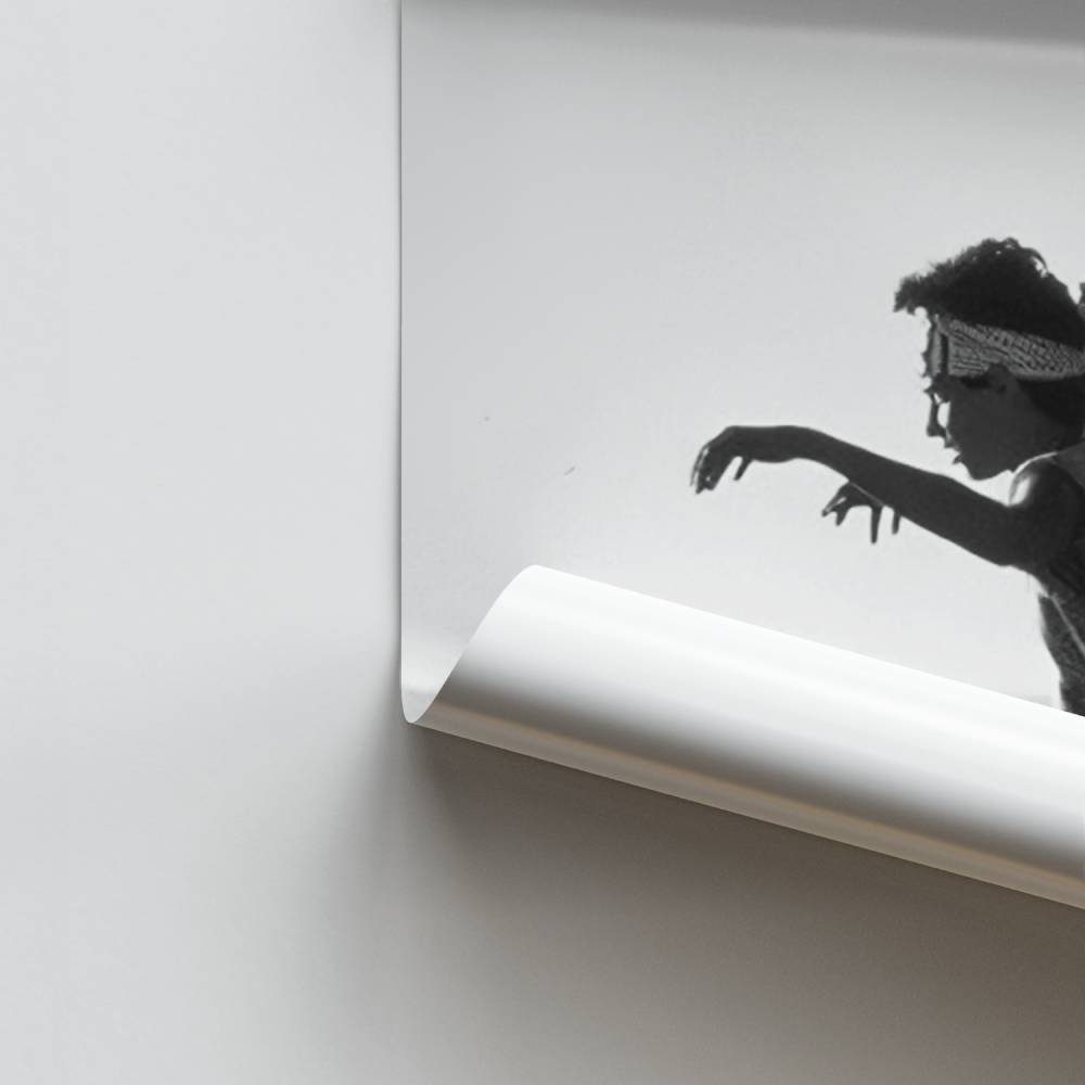 Poster The Crane Kick