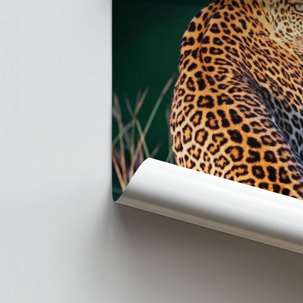 Poster con scintillii selvaggi