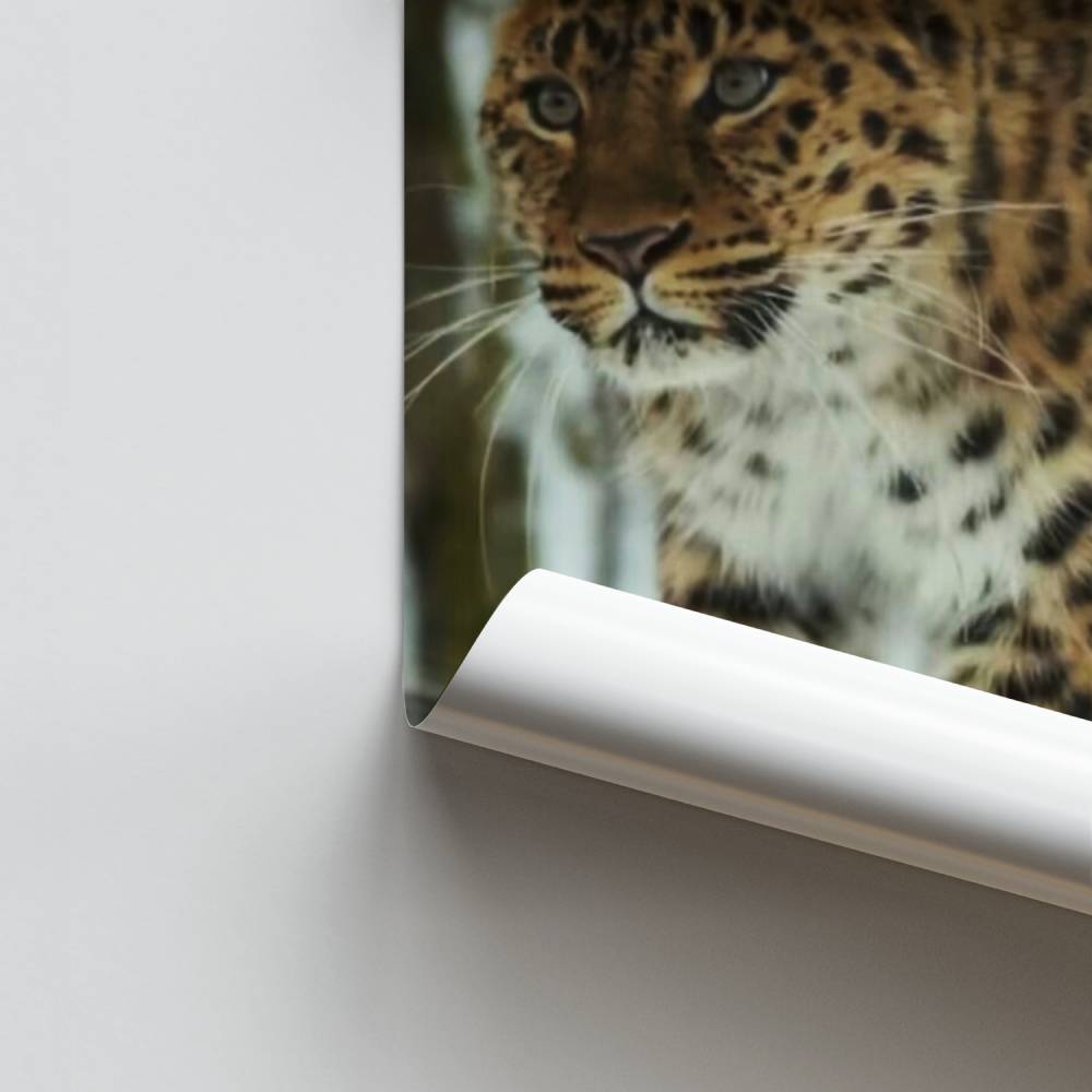 Elegante poster leopardato
