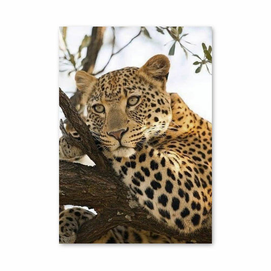 Poster Élegance Féroce