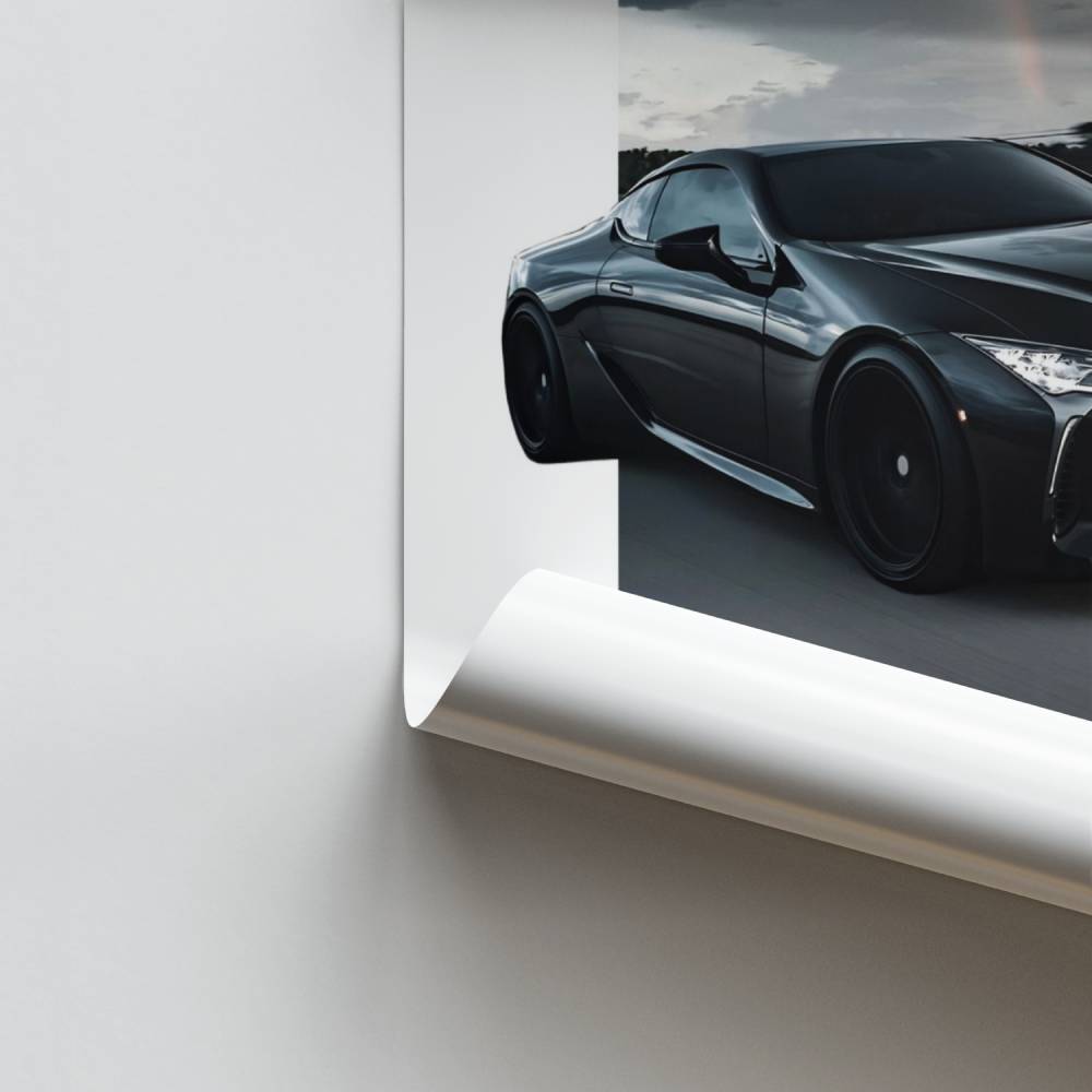 Poster Élégance LC500