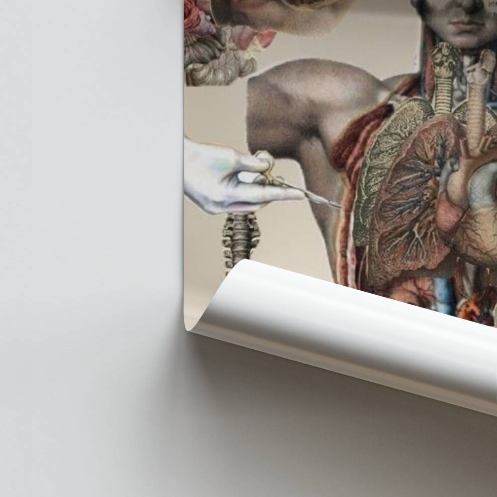 Poster Anatomie Vintage