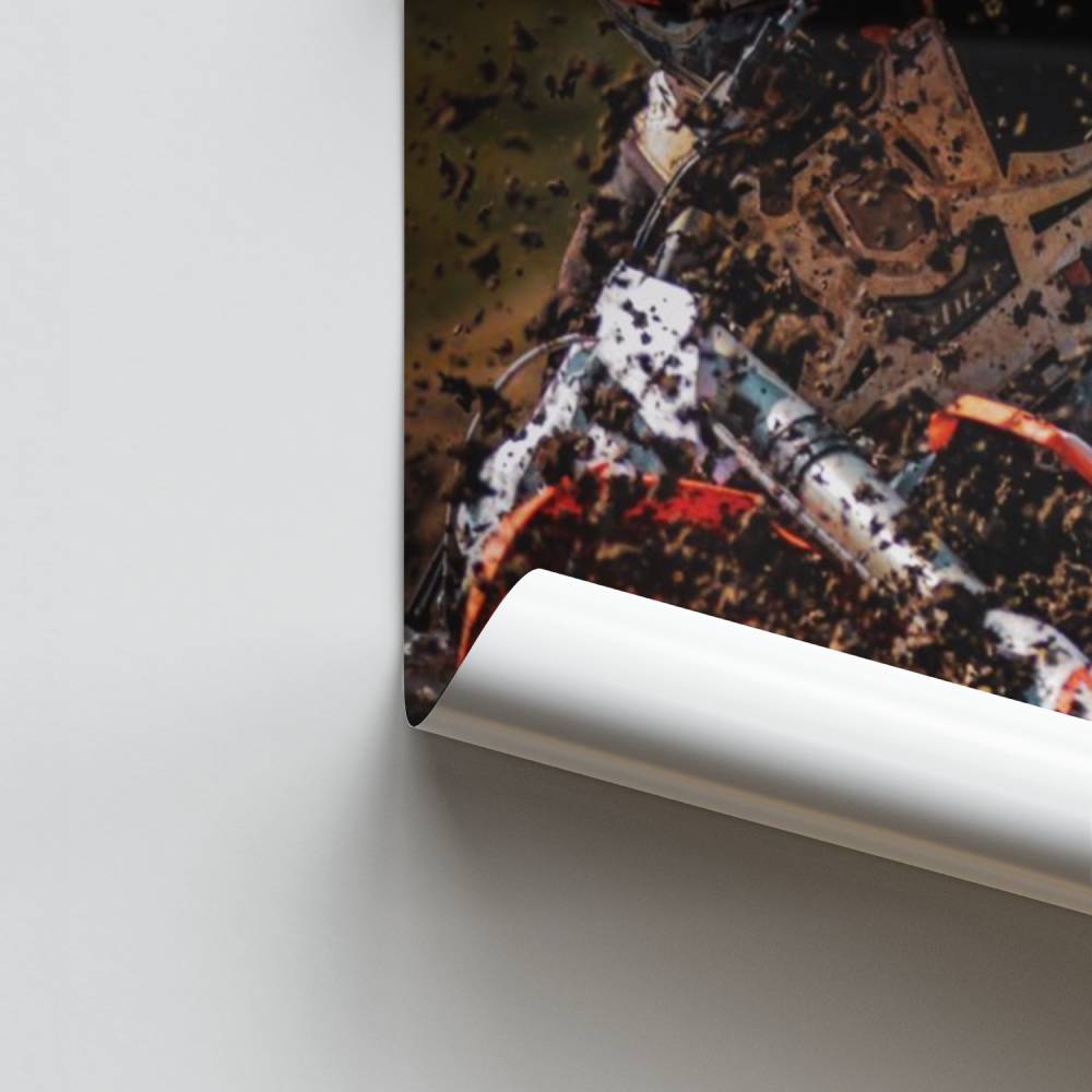 Poster di Frenesia terrestre