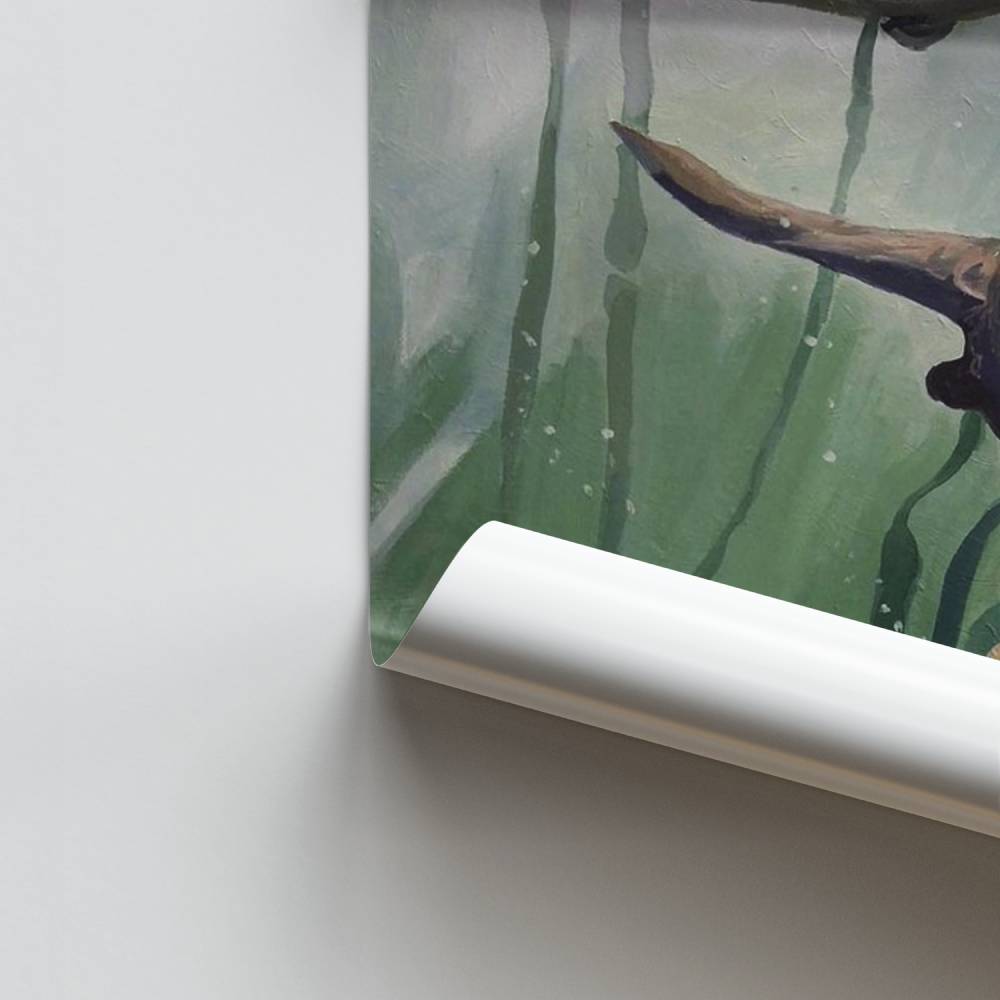 Poster Lontre incantate