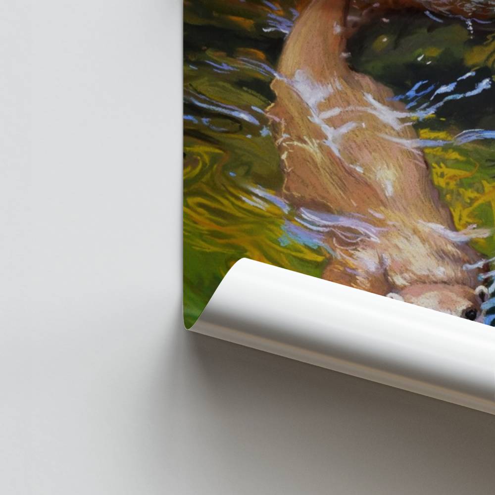 Poster Lontre giocose