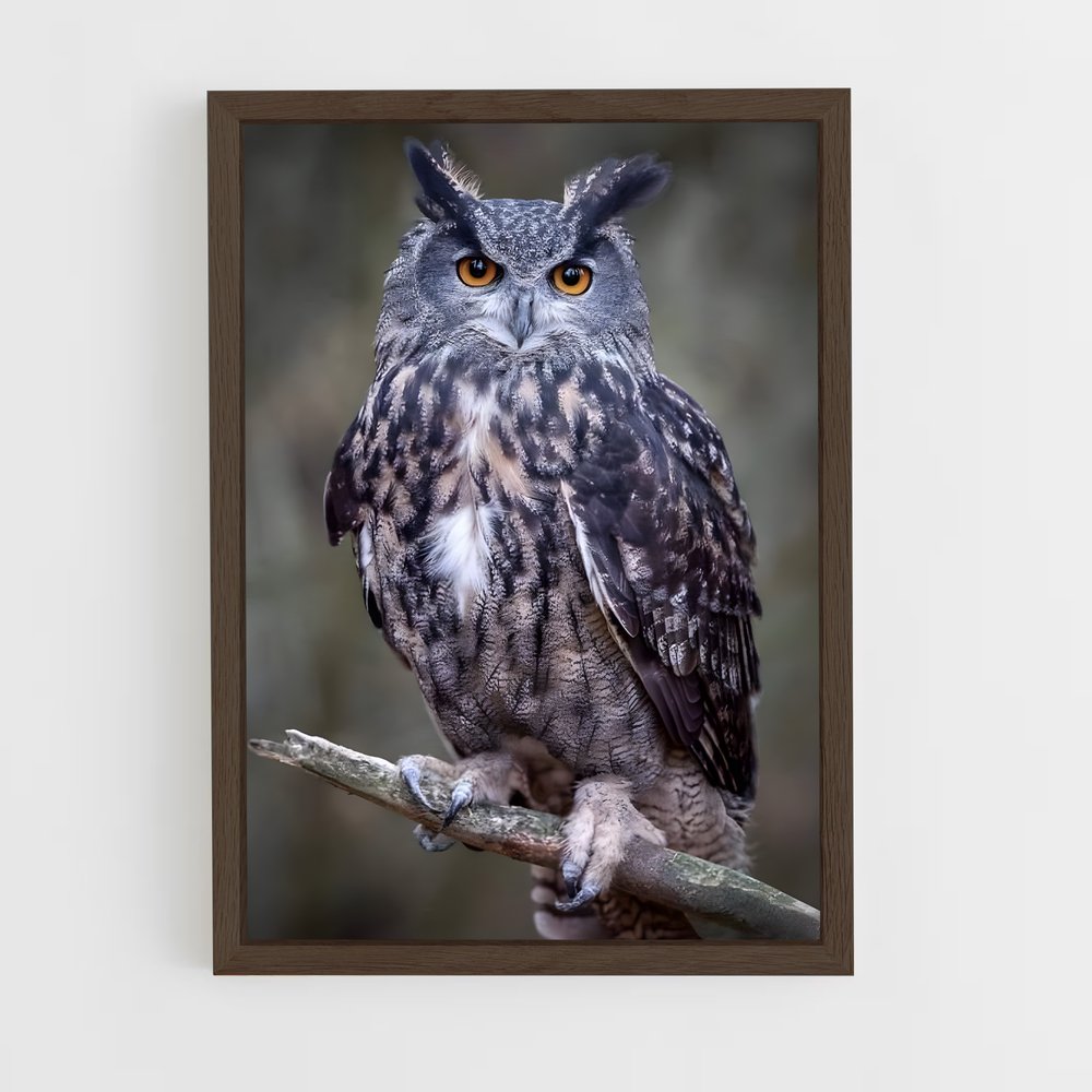 owl-7 cadre Bois foncé