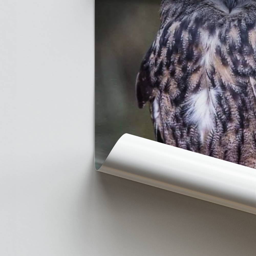 Poster Maestoso Granduca