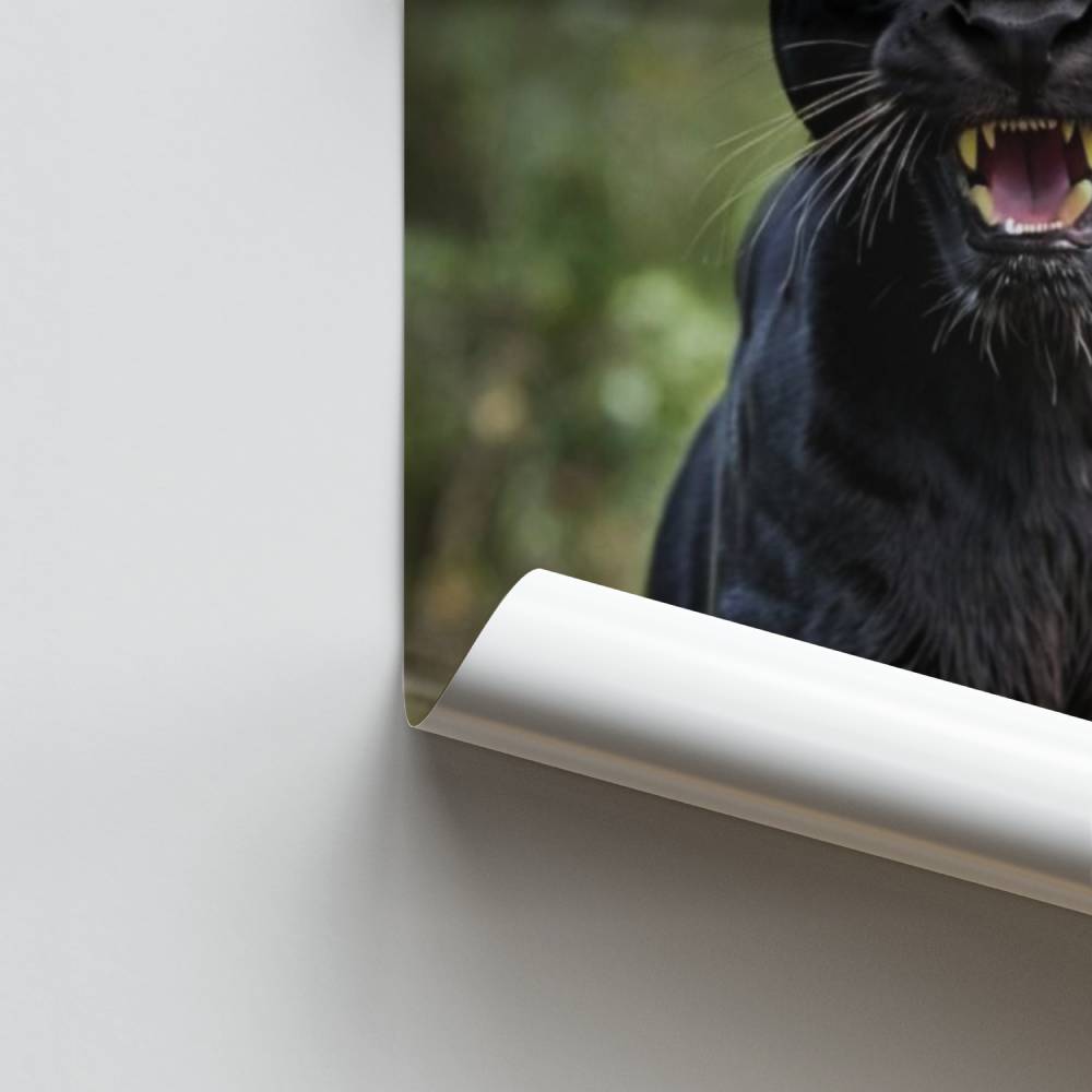 Poster Pantera maestosa