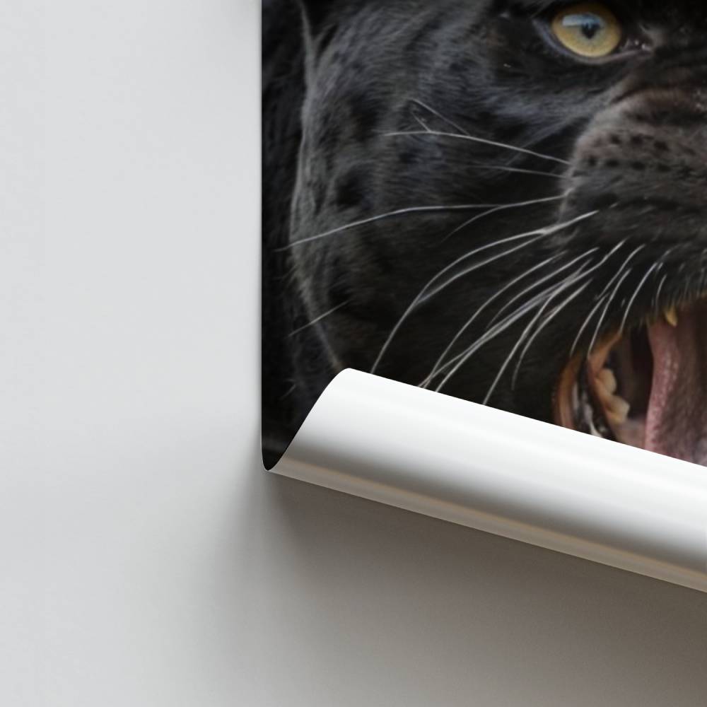 Locandina del ruggito della pantera