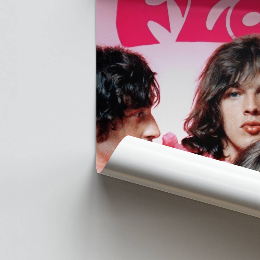 Poster Ricordi rosa