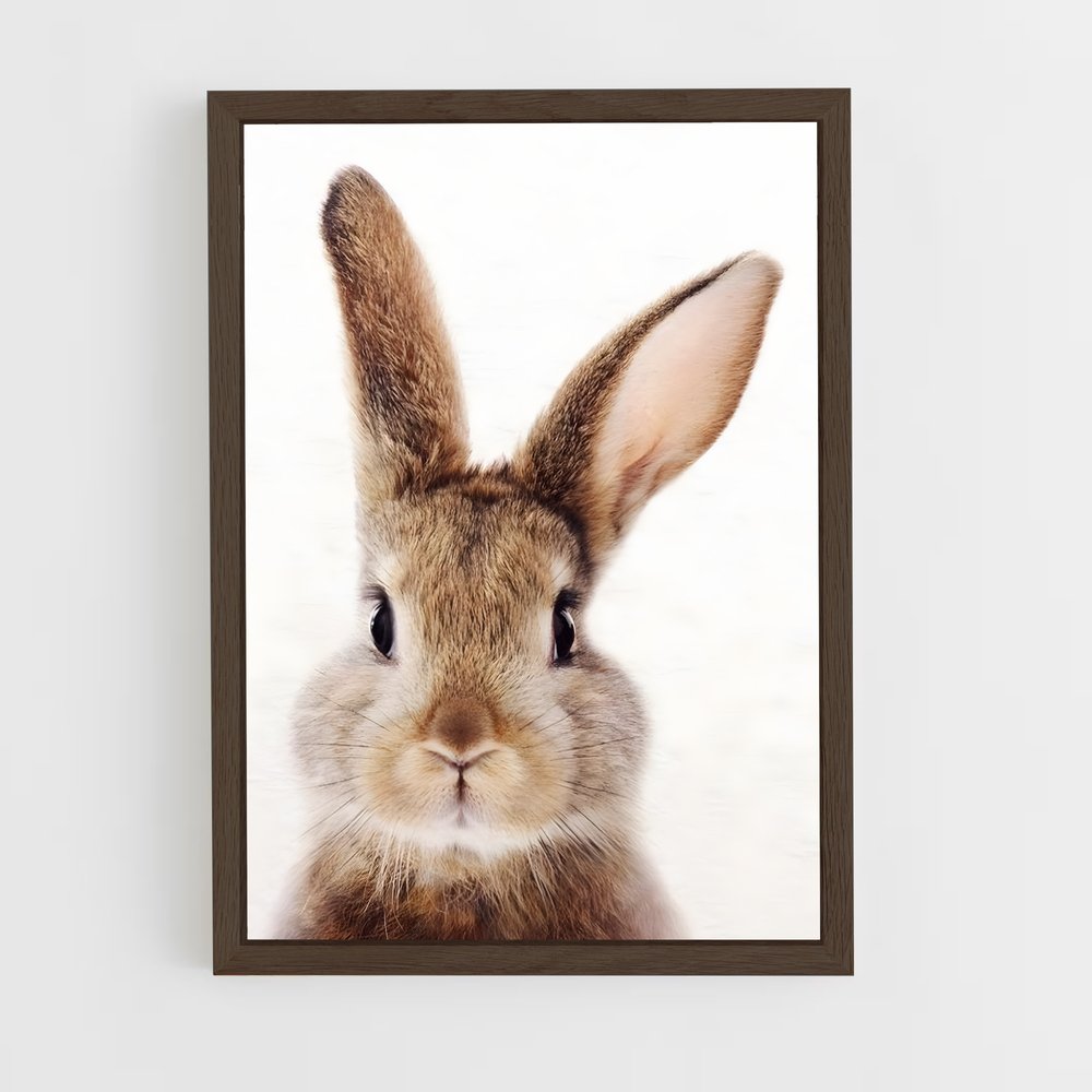 rabbit-10 cadre Bois foncé