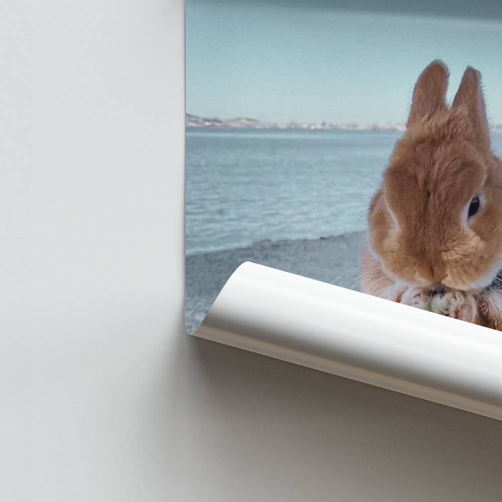 Poster di coniglio tenero