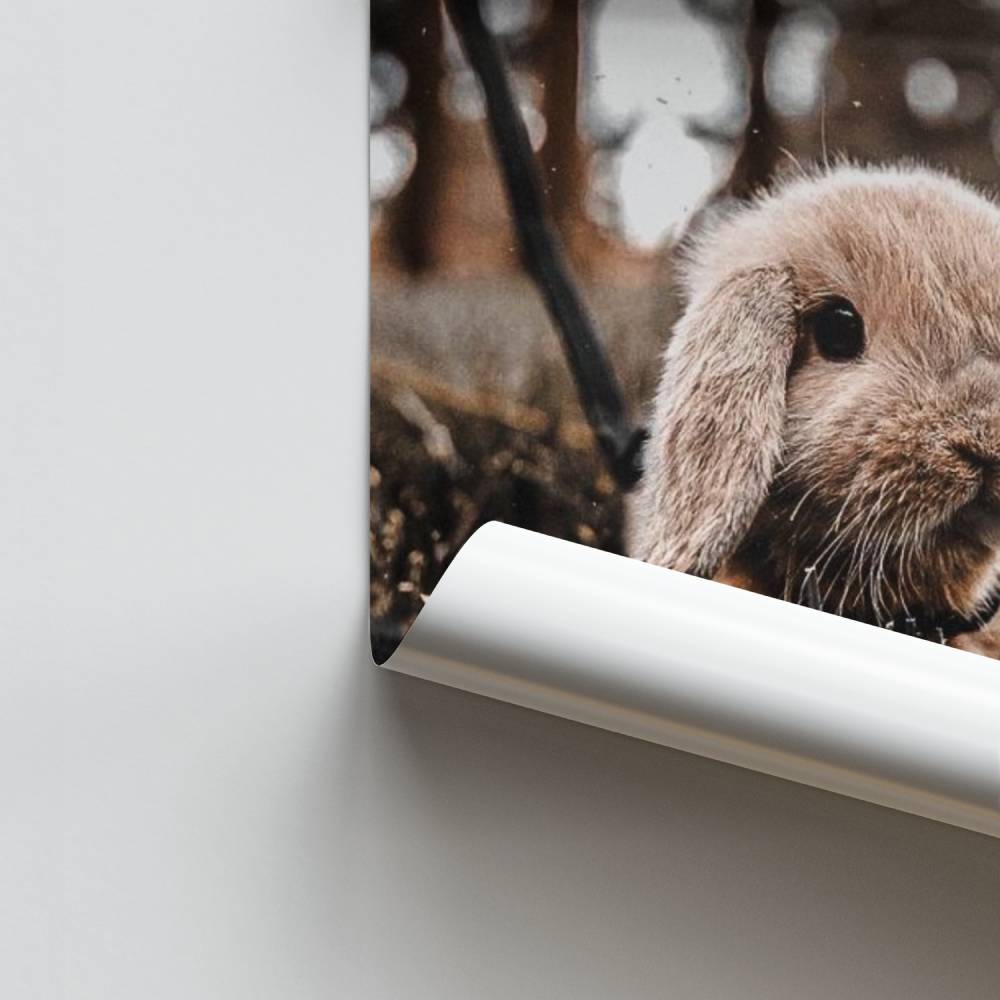 Poster Dolcezza naturale