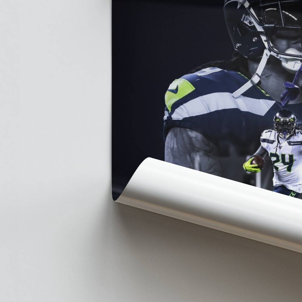 Poster dello spirito di Seahawk