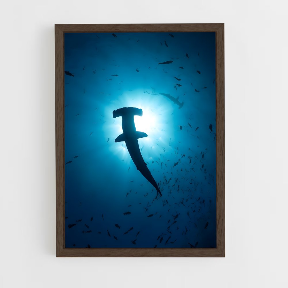 shark-4 cadre Bois foncé