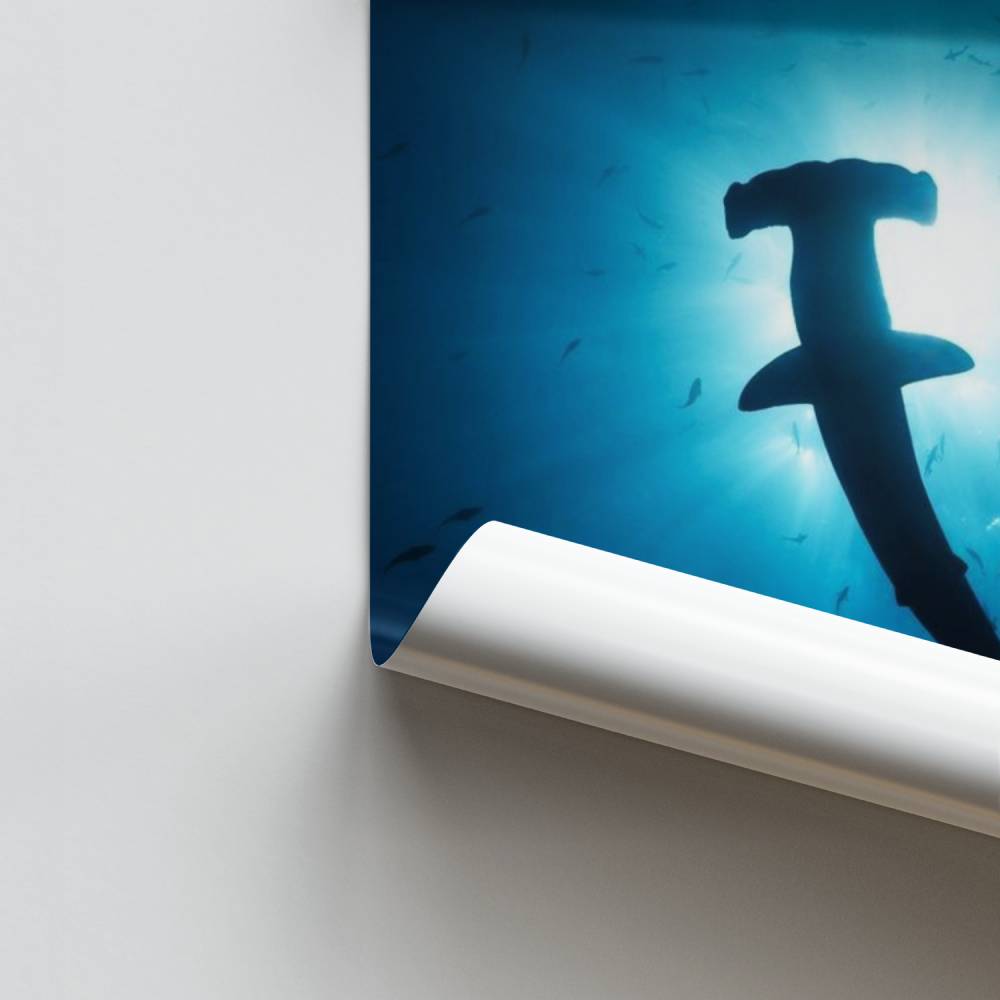 Poster di squalo martello