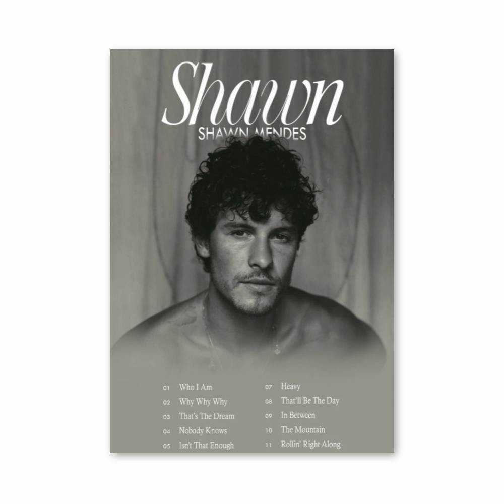 Poster Shawn Introspection