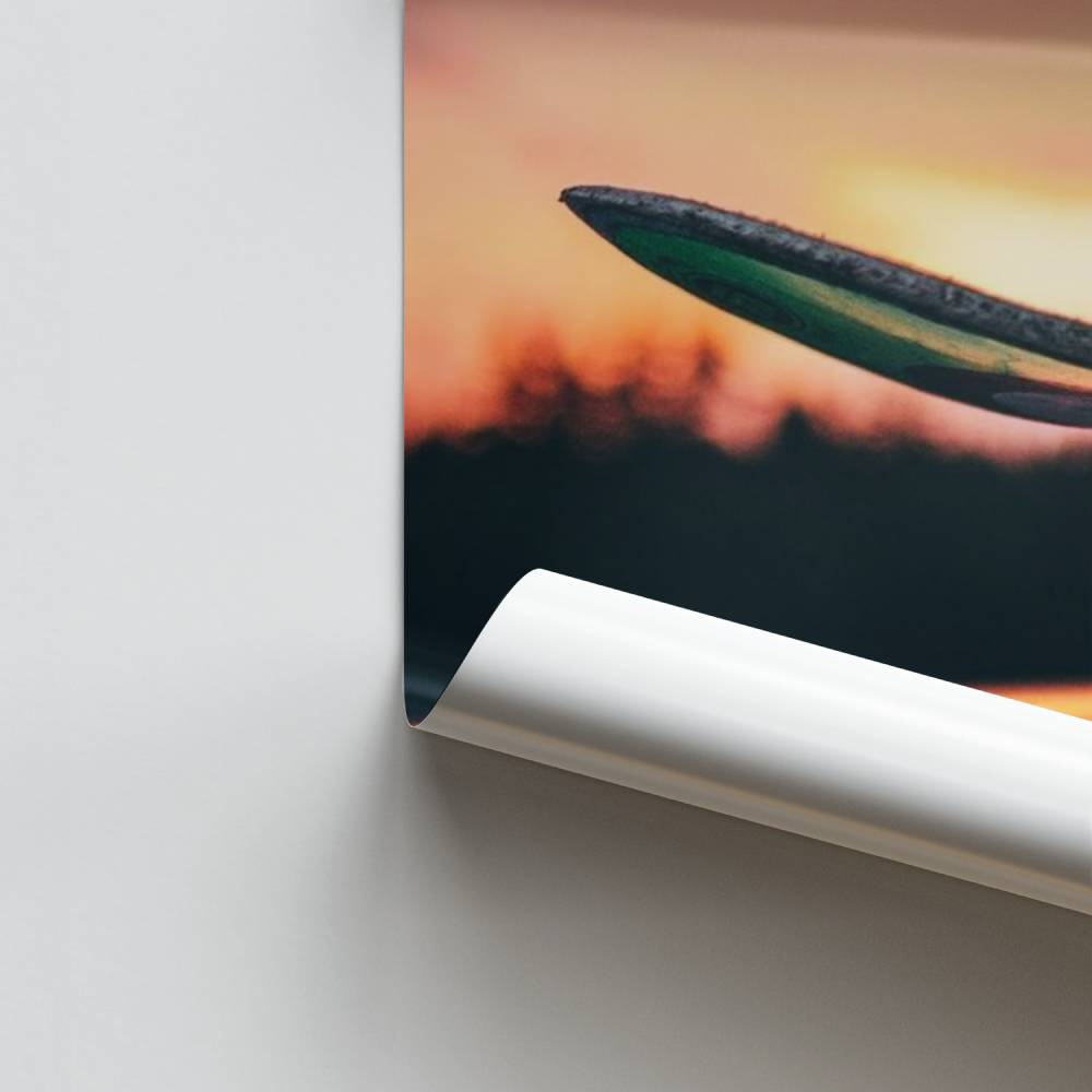 Manifesto del tramonto dello skateboard