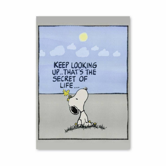 Poster Secret of Life