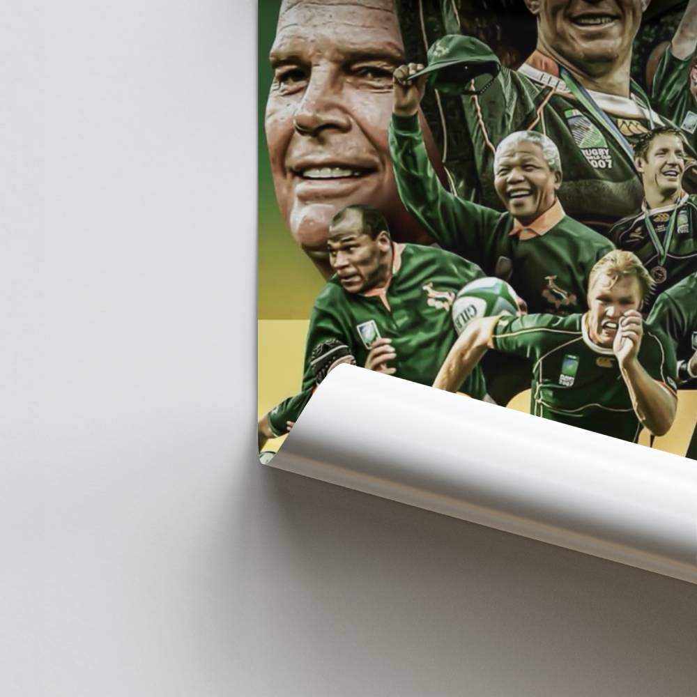 Poster energetico degli Springboks