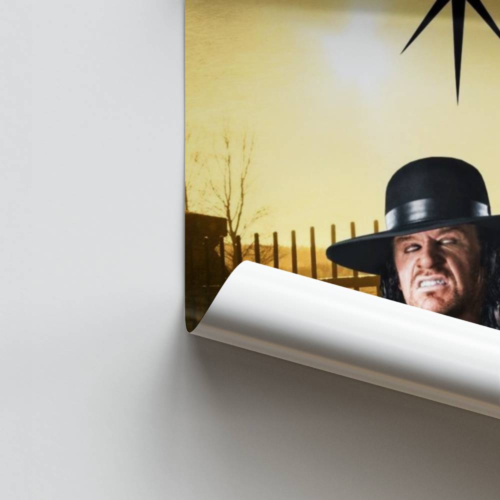 Poster Il fenomeno
