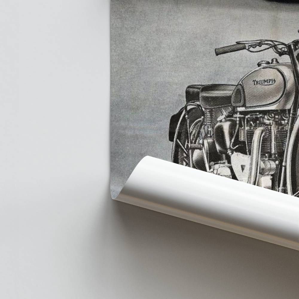 Poster Trionfo di biciclette d'epoca