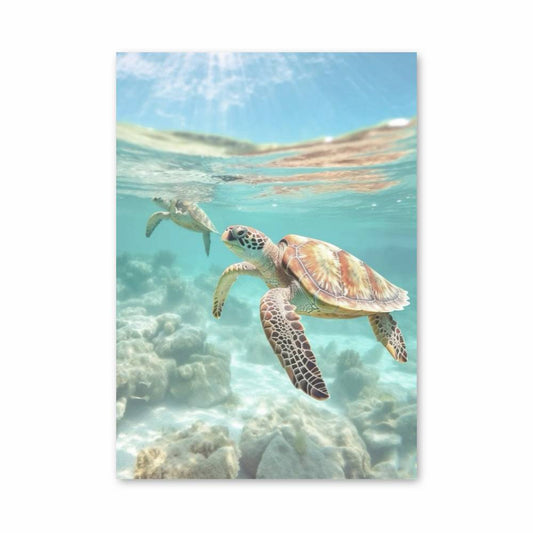 Poster Évasion Tortue