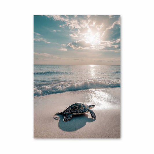 Poster Serenity Turtle