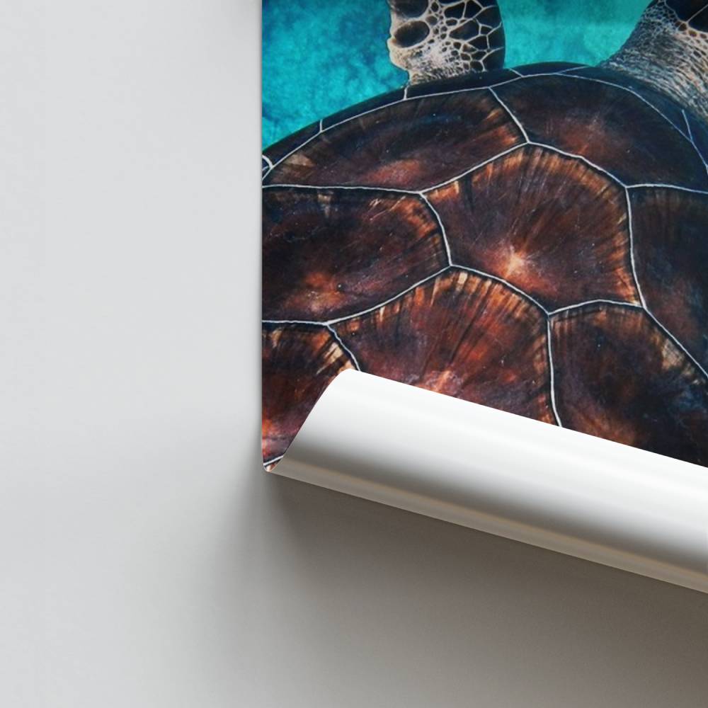 Poster Serenità dell'oceano