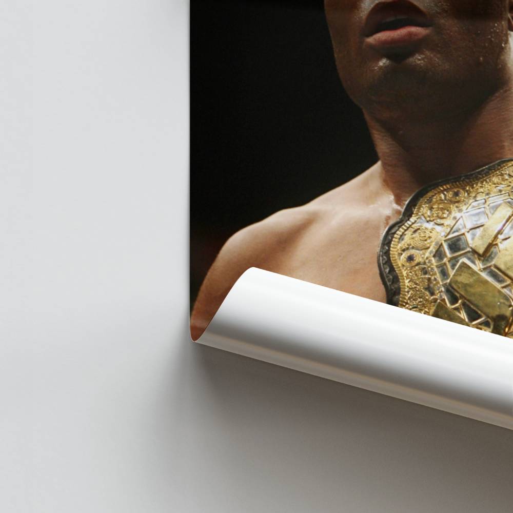 Poster Cintura Anderson Silva