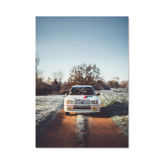 Poster 205 gti 79106