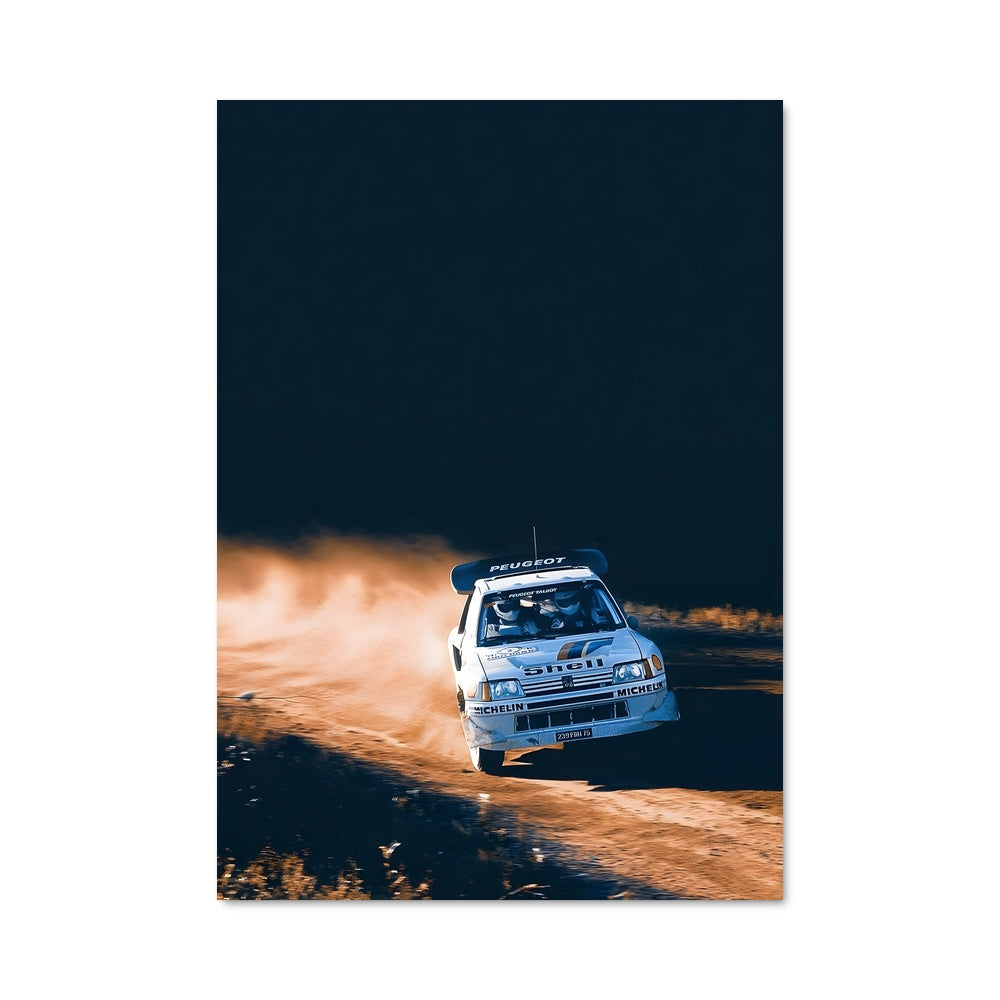 Poster 205 rallye 79105