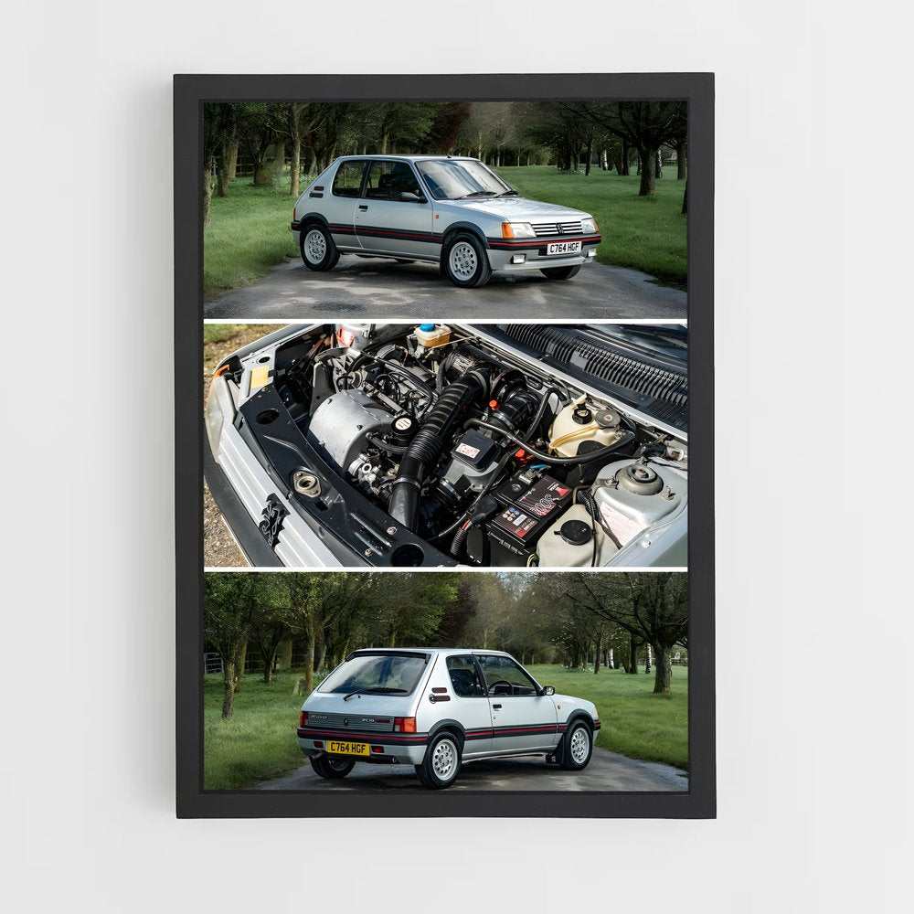 ap-205 gti-4 cadre Noir