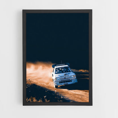 ap-205 rallye-1 cadre Noir