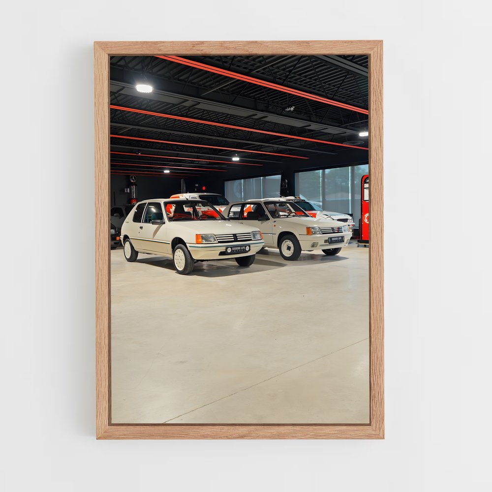 ap-205 rallye-6 cadre Bois clair